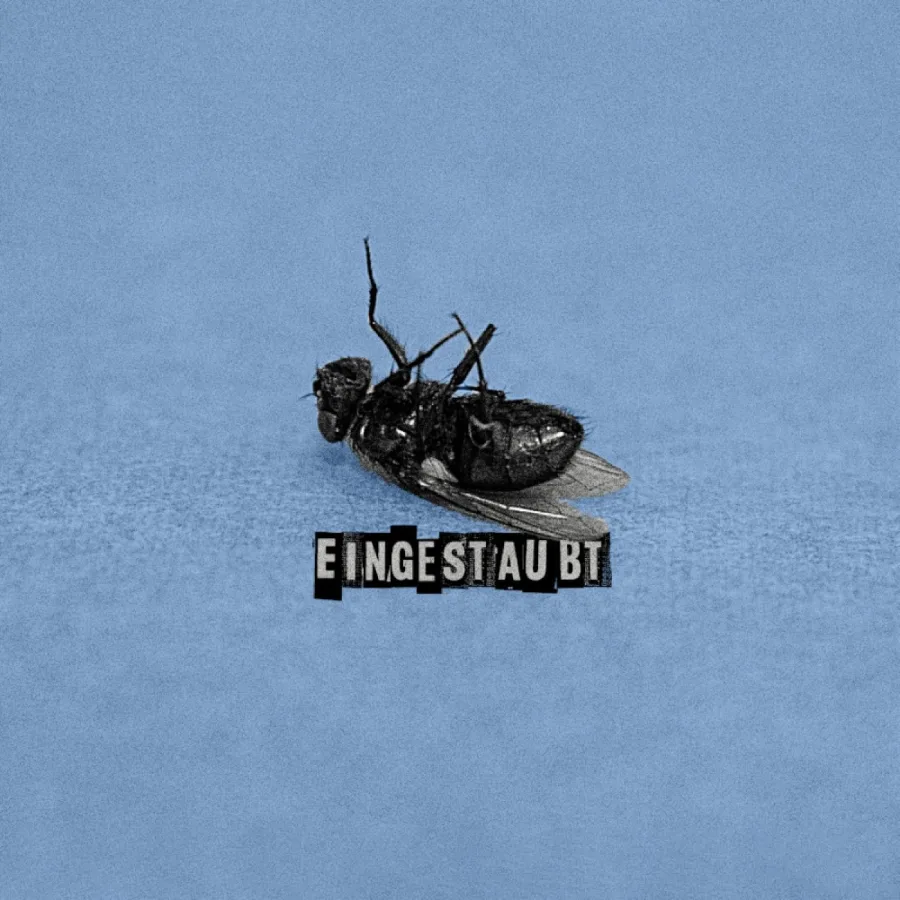 Luftlinie270 – Eingestaubt
