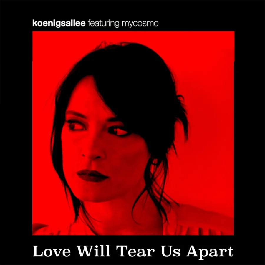 koenigsallee – Love Will Tear Us Apart