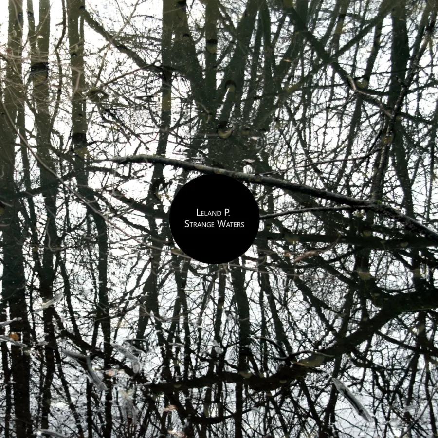Leland P. – Strange Waters